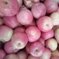 Haute qualité de pomme rouge Qinguan frais
